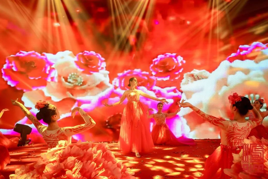 5dd5e8d8244ef.png image.png